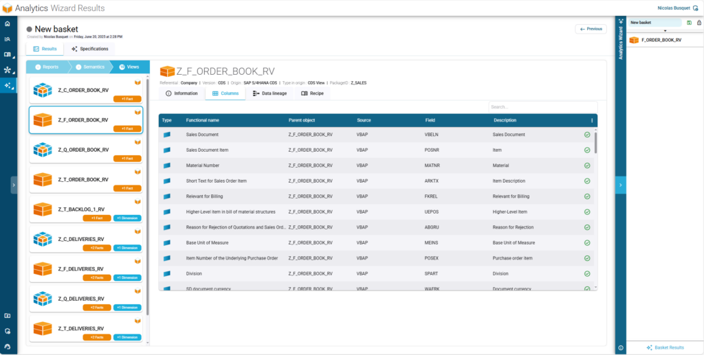 The Wizard loads and analyzes the structure, calculated fields, filters, and dependencies of the view.