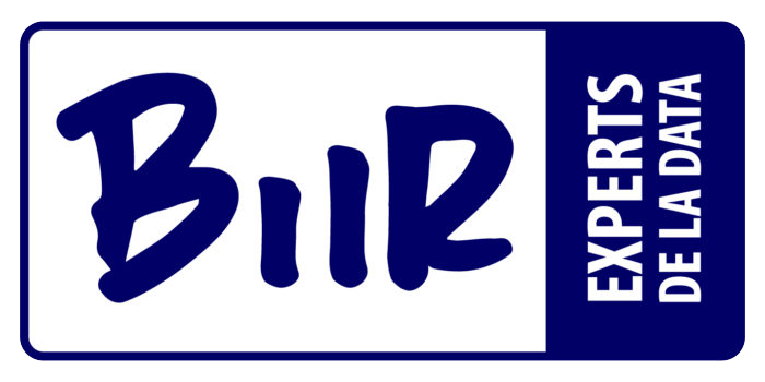 Le logo de BIIR symbolise le rôle de la société dans l'écosystème de l'aide à la décision, illustrant visuellement sa position d'expert dans le secteur du conseil en Business Intelligence et de la valorisation des données.