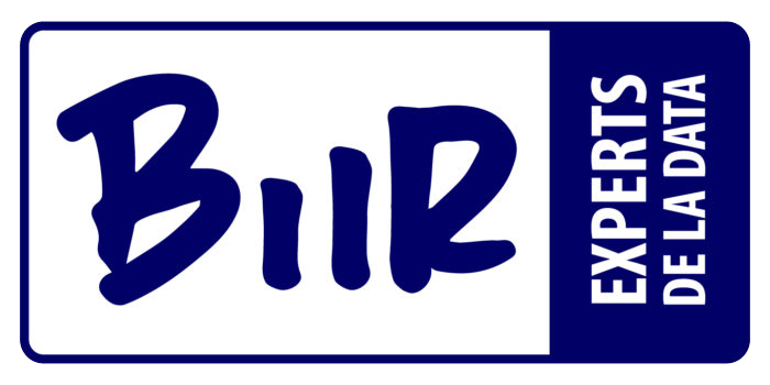 Le logo de BiiR représente leur ancrage bordelais et leur spécialisation pointue, incarnant leur capacité à collecter, traiter et valoriser les données décisionnelles.