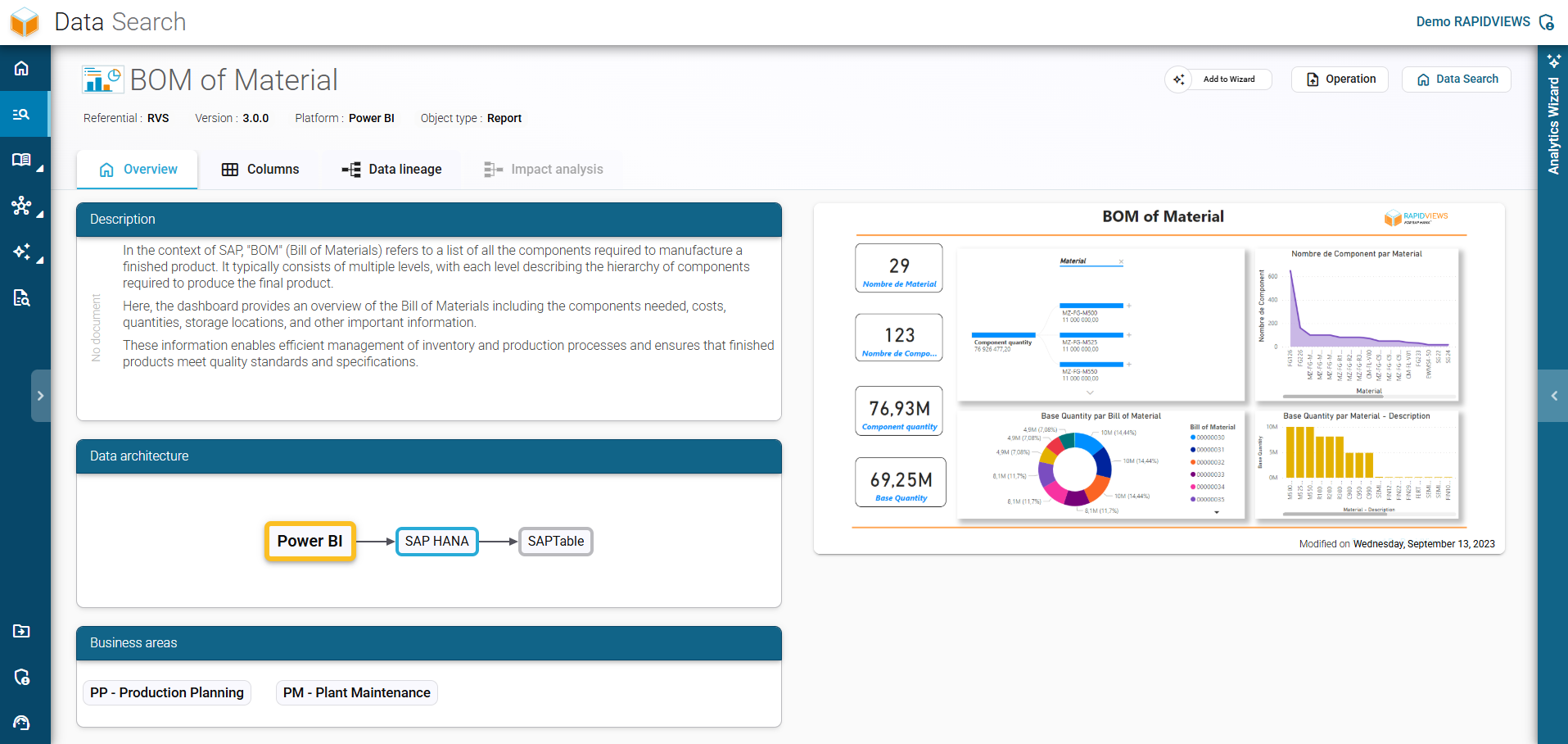 Detailed view of a Bill of Materials (BOM) report in RapidViews, presenting its complete description and data architecture.